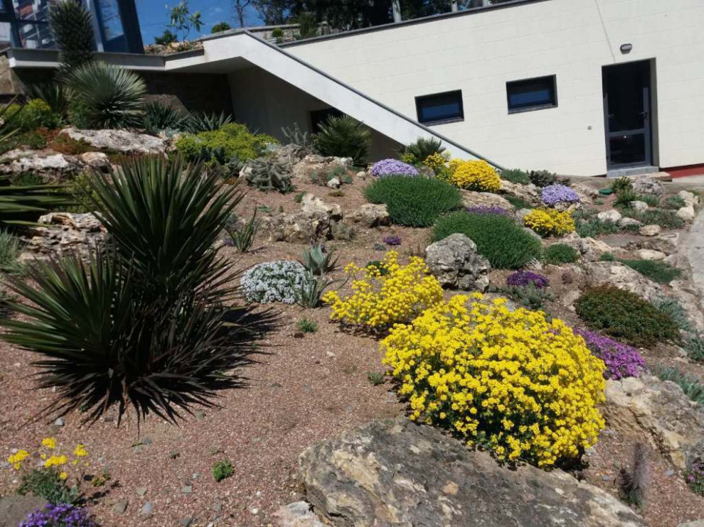Idee per un grande giardino xeriscape mediterraneo esposto in pieno sole in estate con sassi e rocce, un pendio, una collina o una riva e recinzione in pietra