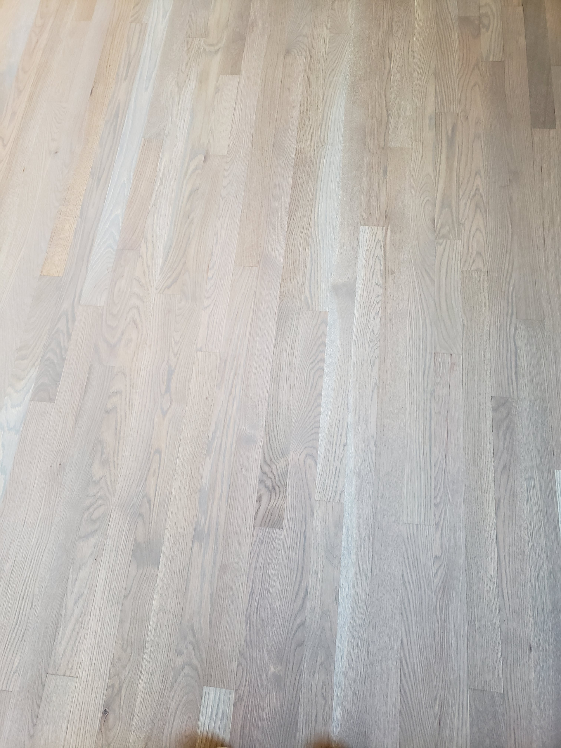 Chicago,  Warm Gray on white oak , Bona Traffic HD finish