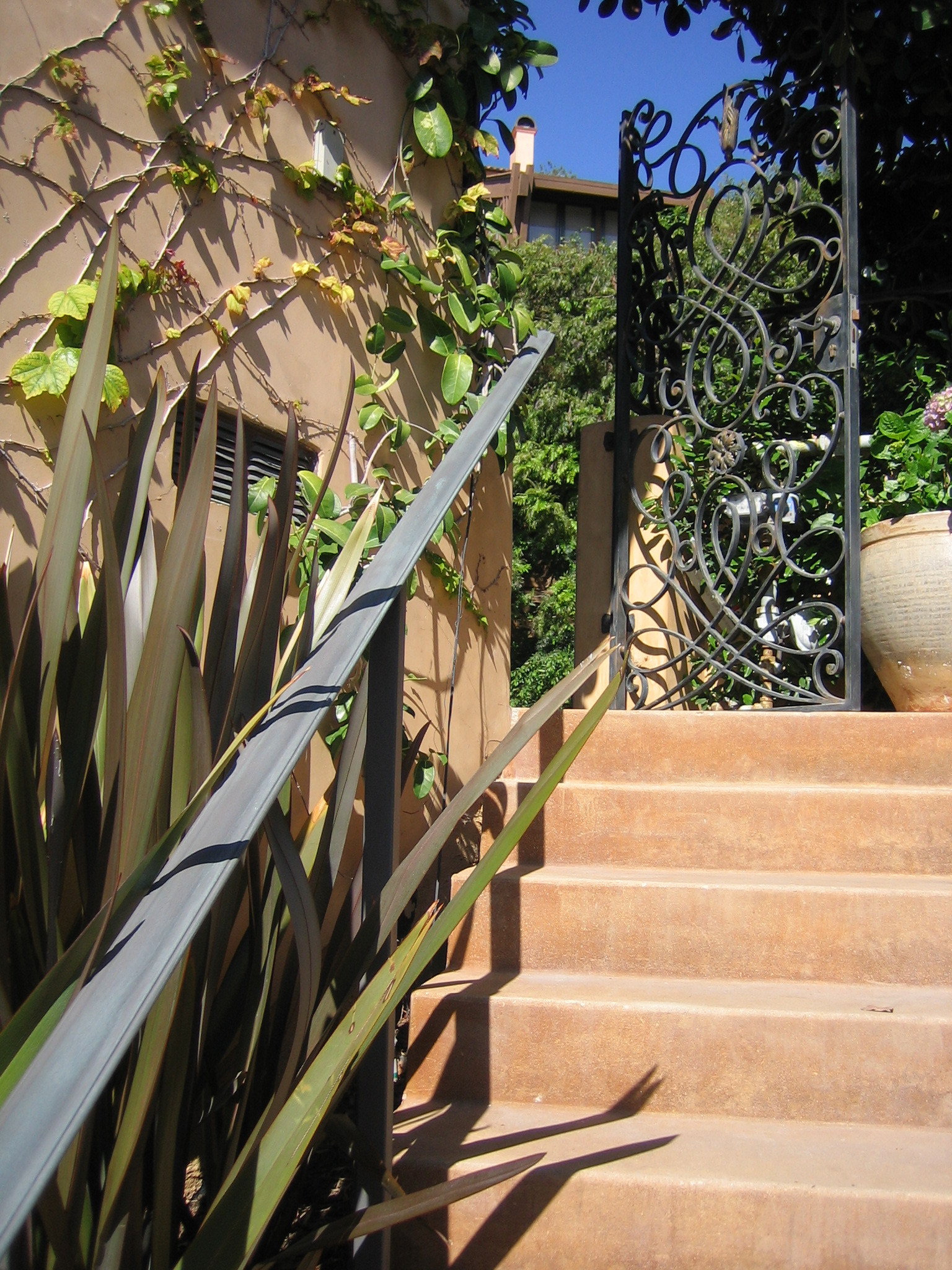 Custom gate and railing