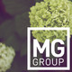 MeadowGreen Group
