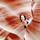 catherine_garreau