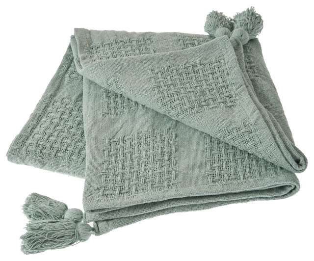 Charming Light Blue Throw Blanket Contemporary Throws by LR Home