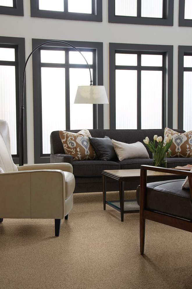 Soft and Luxurious Carpets - Contemporary - Living Room - Toronto - by