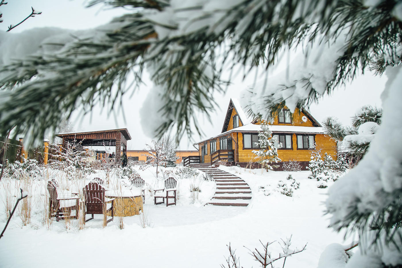 Зимний сад. Ощущение праздника!