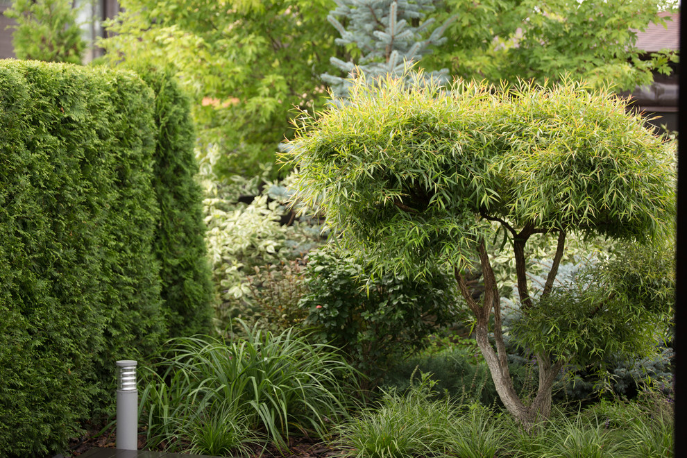 Светлогорье лето 2016