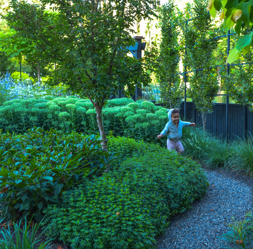 Foto di un giardino xeriscape minimalista esposto in pieno sole di medie dimensioni e davanti casa in estate con un ingresso o sentiero