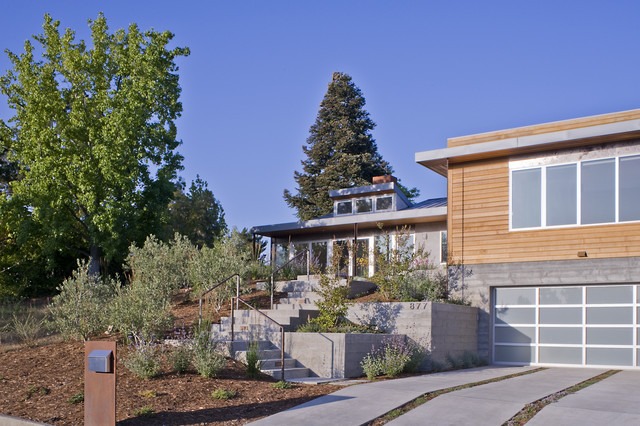 Friedman contemporary-house-exterior