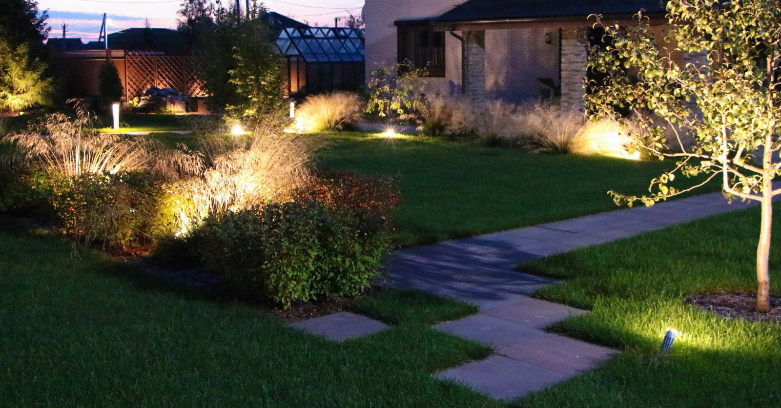 Петровское, ночной сад, 2018-2020 гг.