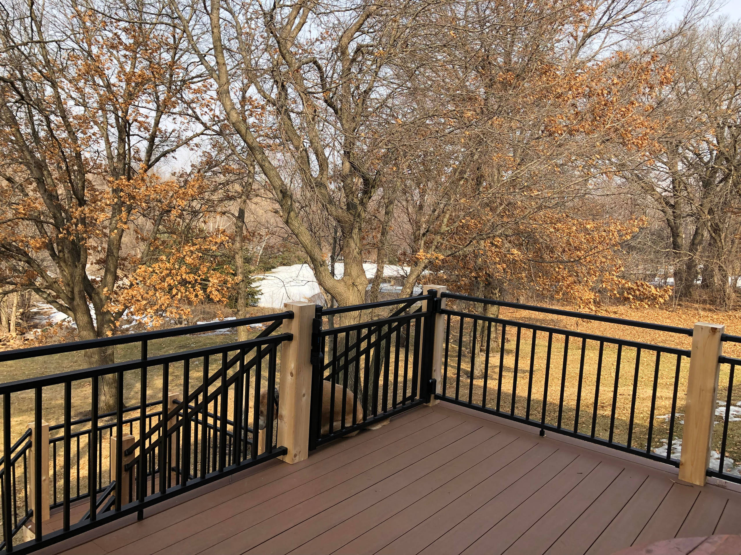 Deck Renovation