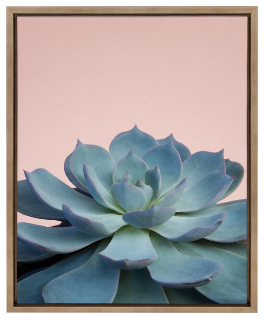 Sylvie Botanical Succulent Framed Canvas Wall Art Gold 18 X24