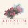 Last commented by Adenium Georgia