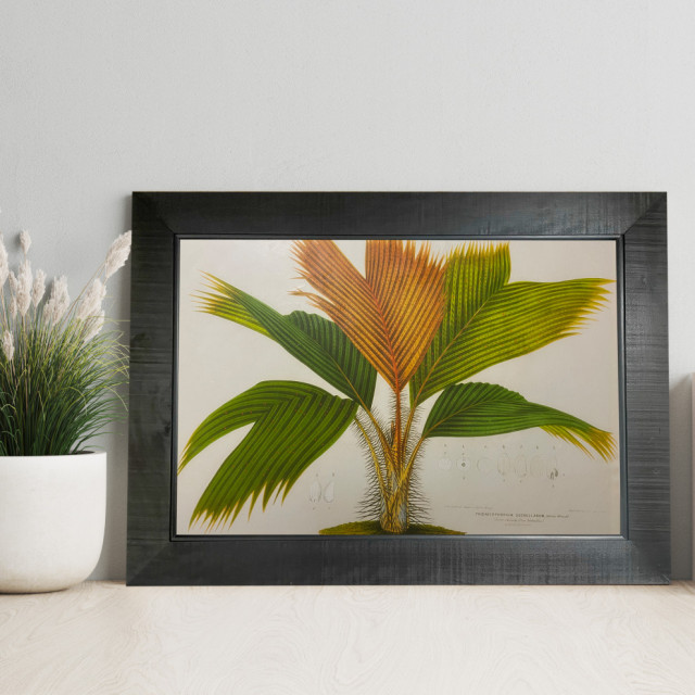 Flower Handmade Wall Art Framed Museum Quality Wall Decor Size: 44x56 ...
