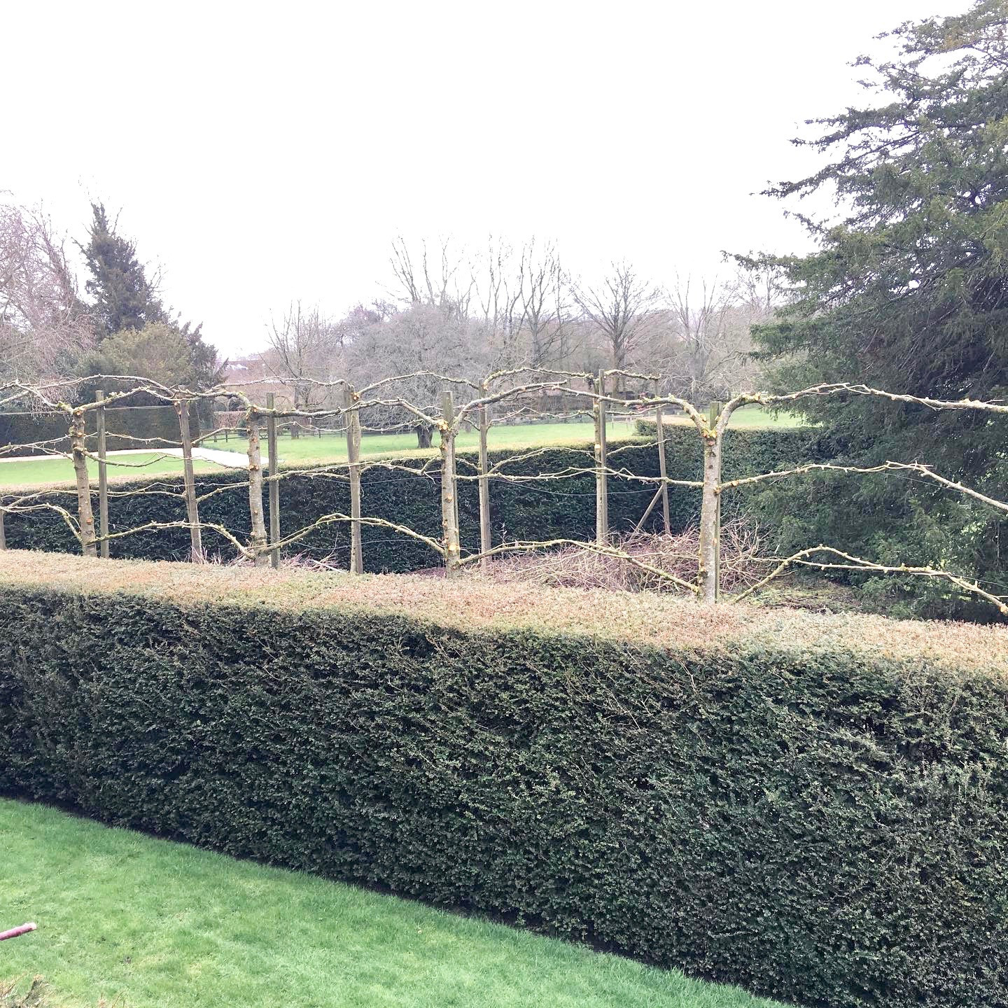 Arboriculture