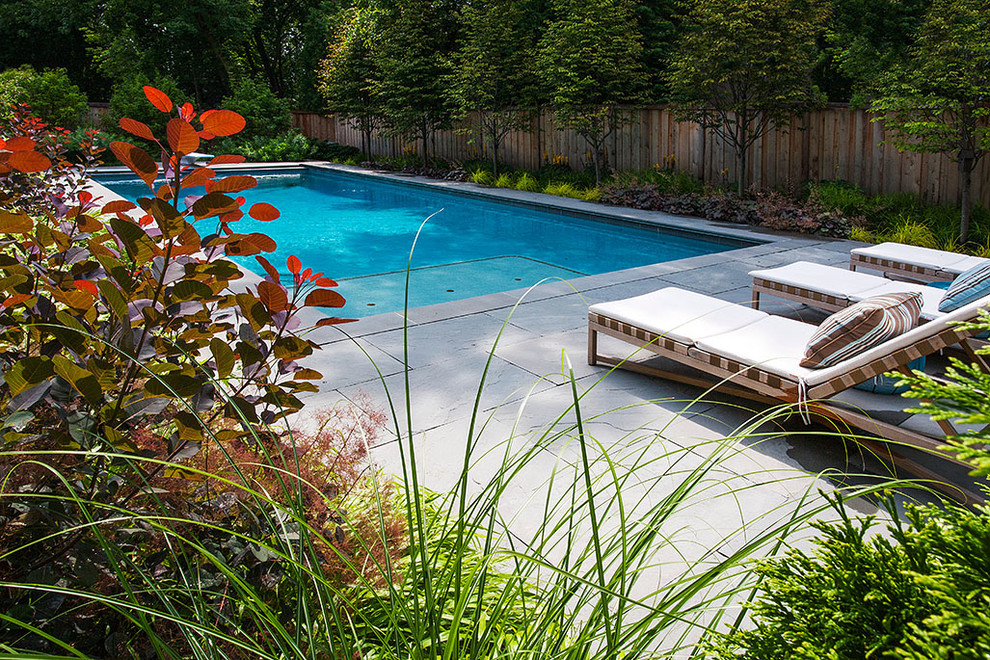 Inspiration for a contemporary pool in Chicago.