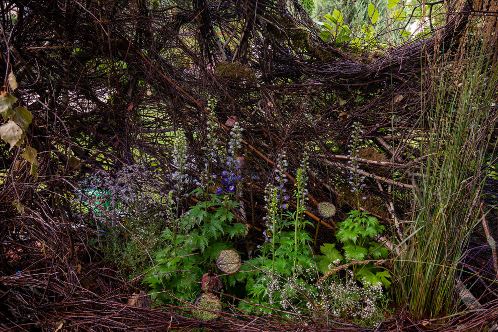 Фотосъемка Сада   по  Метрелинку на MFS 2019 Авторы М,Береснева М. ПРИНТЦ