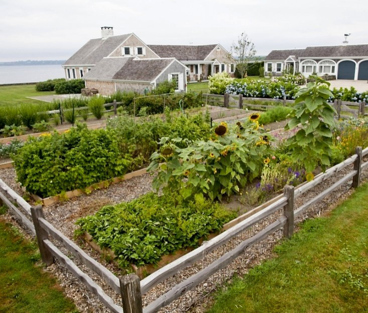 Coastal Property where we built this vegetable garden.  It is raised beds and completely organic. Peter Atkins and Associates