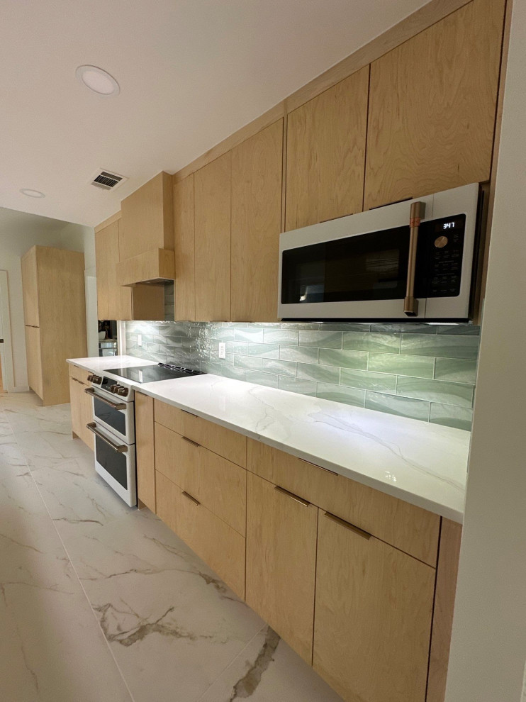 Dallas Kitchen Project