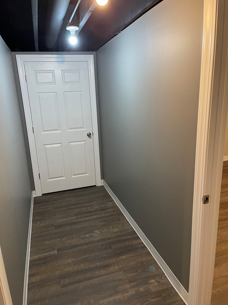 Basement Remodel- Plainfield, IL