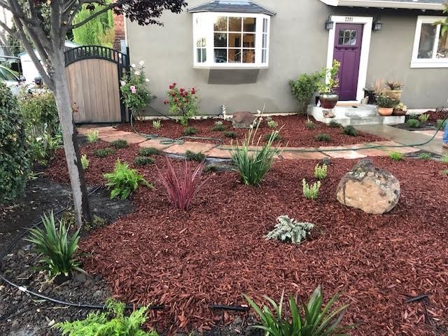 Drought Tolerant Landscaping- Front & Backyard