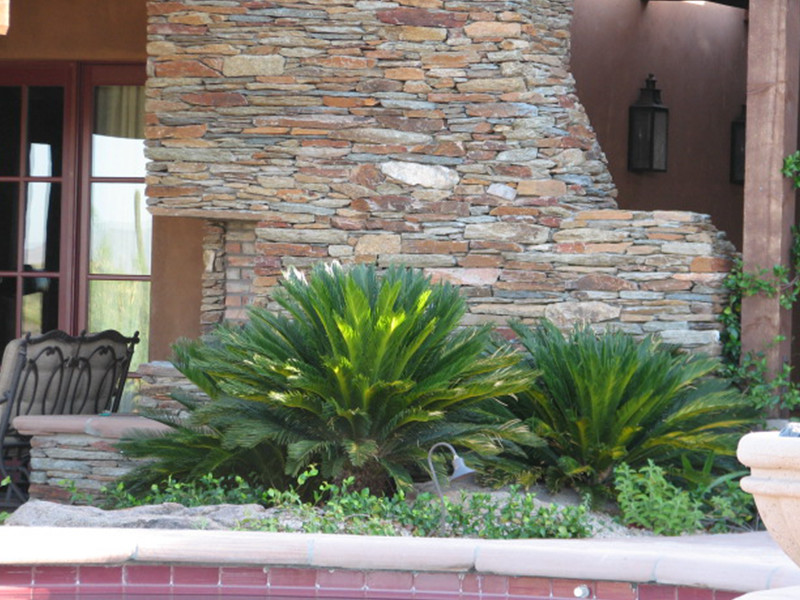Inspiration for a mid-sized backyard full sun garden for summer in Phoenix with a fire feature and concrete pavers.