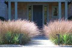 How to Create Beauty in Your Garden With Ornamental Grasses