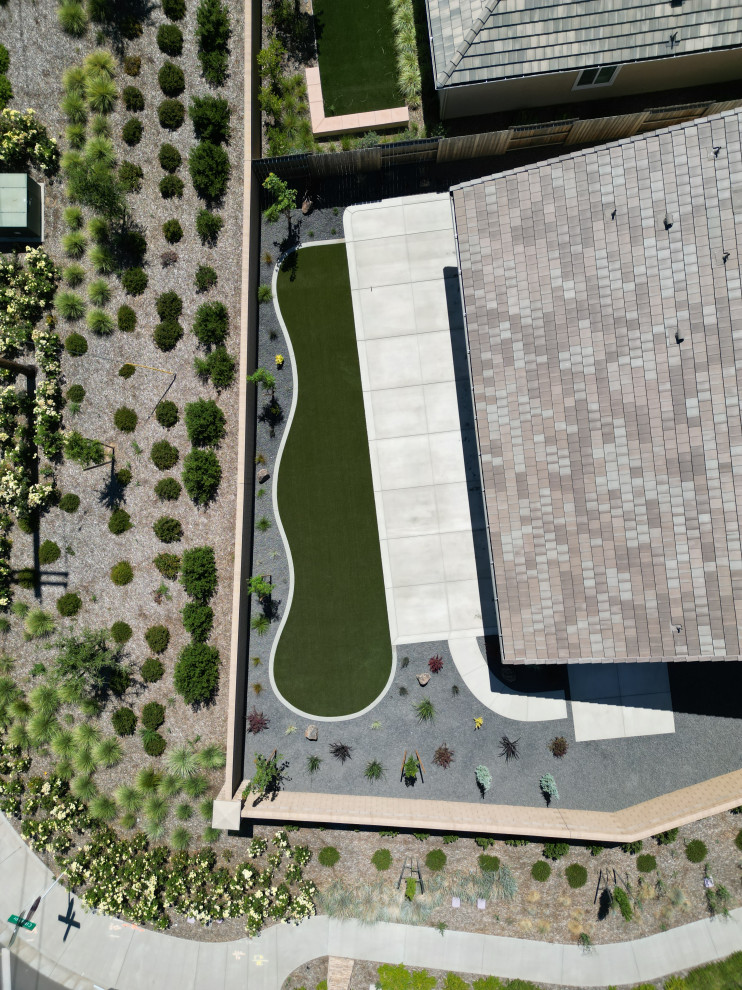 Roseville Backyard Turf and Concrete