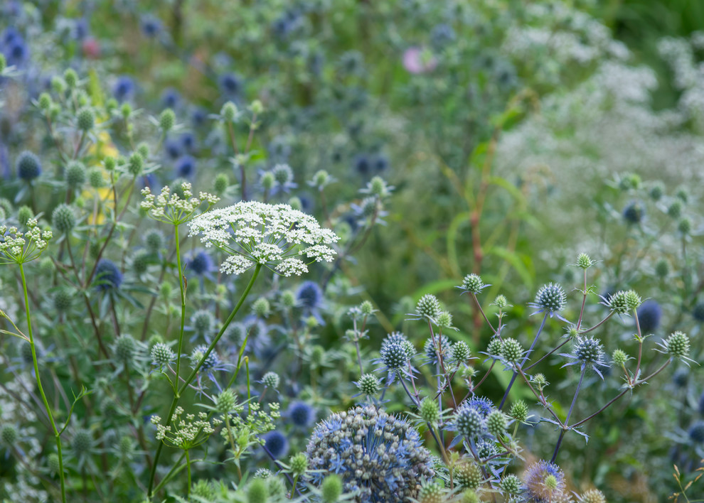 Цветник в  природном стиле  (" New Perennials"  или "Новая волна")