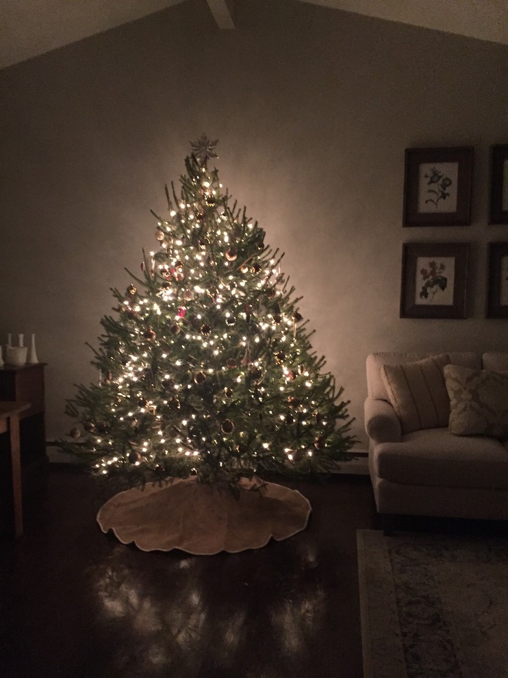 Christmas Tree in front of hot water baseboard heater a fire hazard?