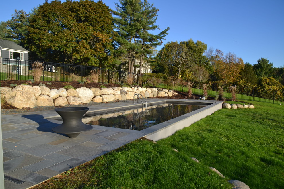 Mid-sized trendy backyard stone and rectangular pool house photo