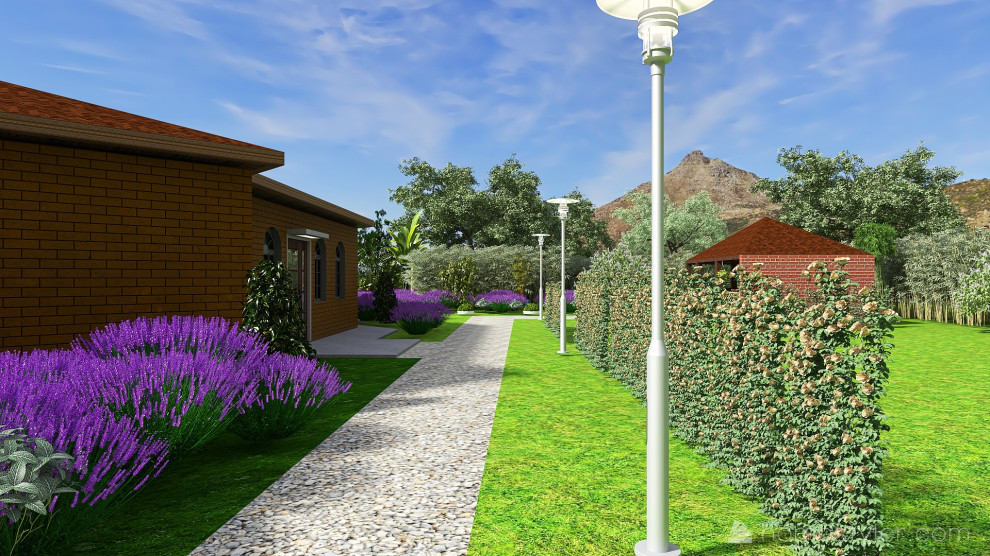 Задний двор