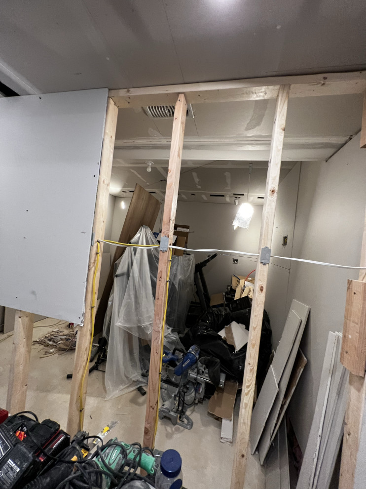 Basement Remodel