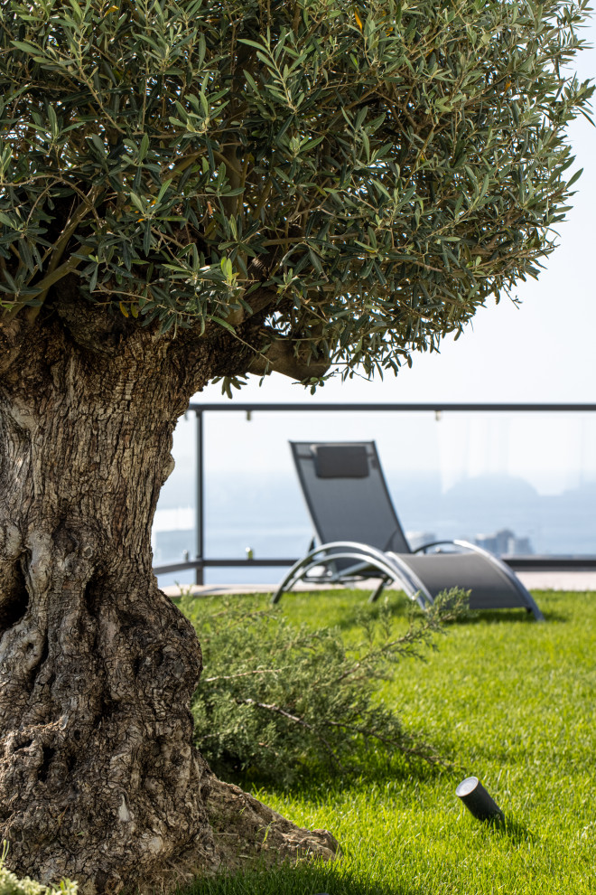 Средиземноморье Сочи