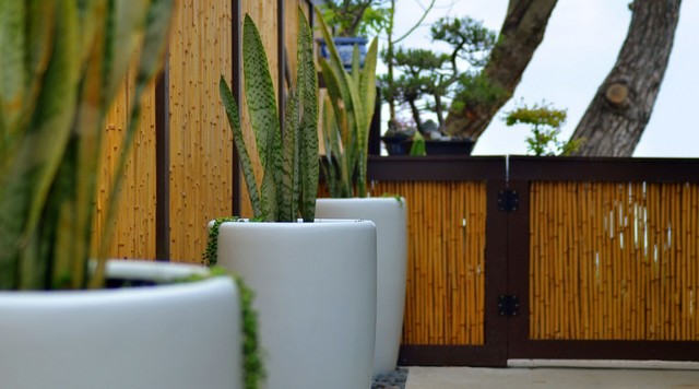 Bamboo Fencing, Natural gate modern-courtyard
