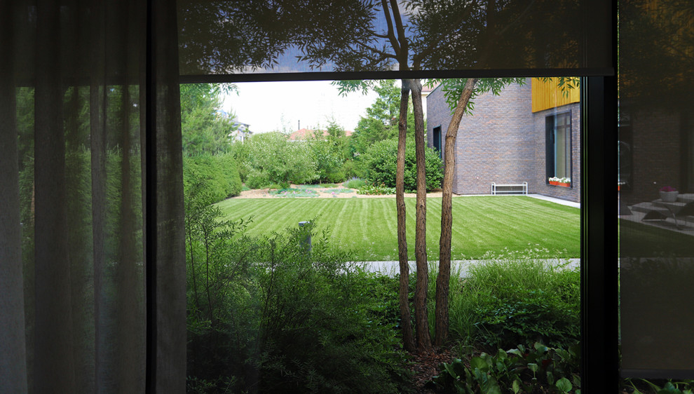 сад в городе