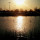 cheryl_harris14
