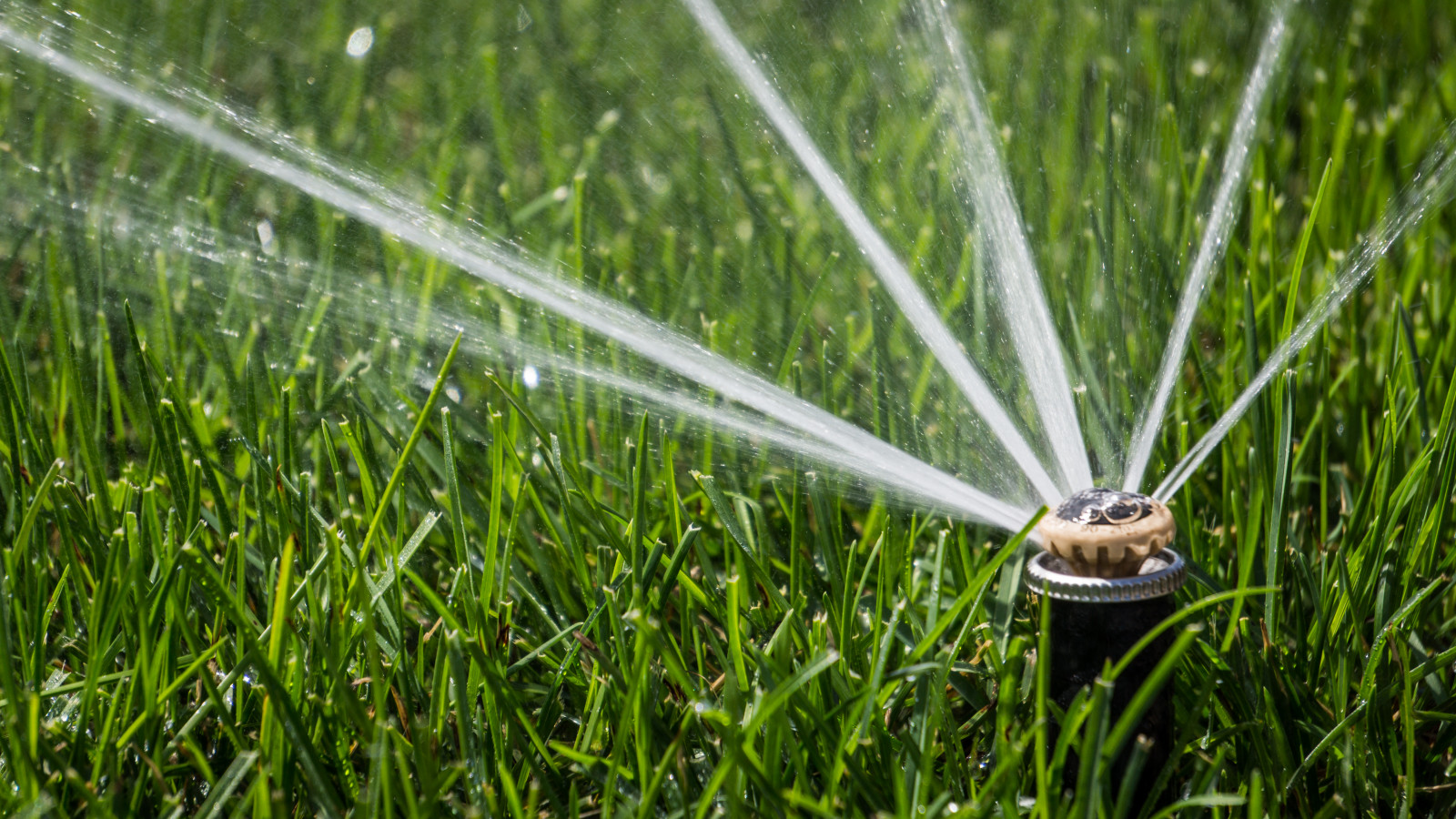 Примеры работ