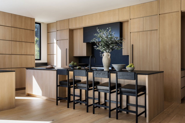Venice modern-kitchen