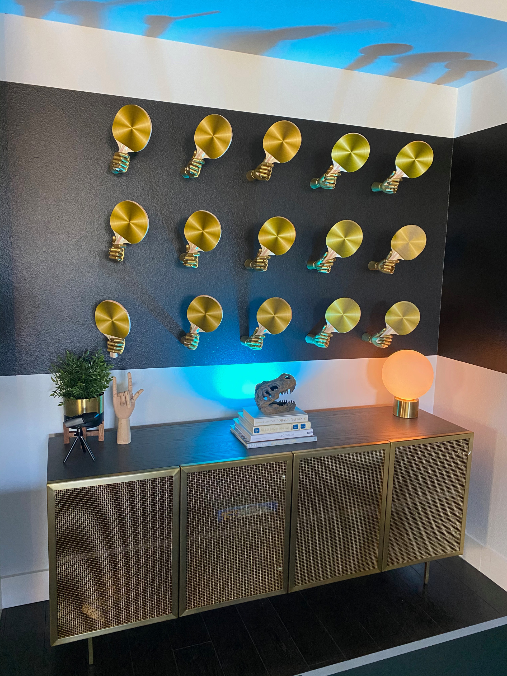 Young Professional's Bachelor Pad