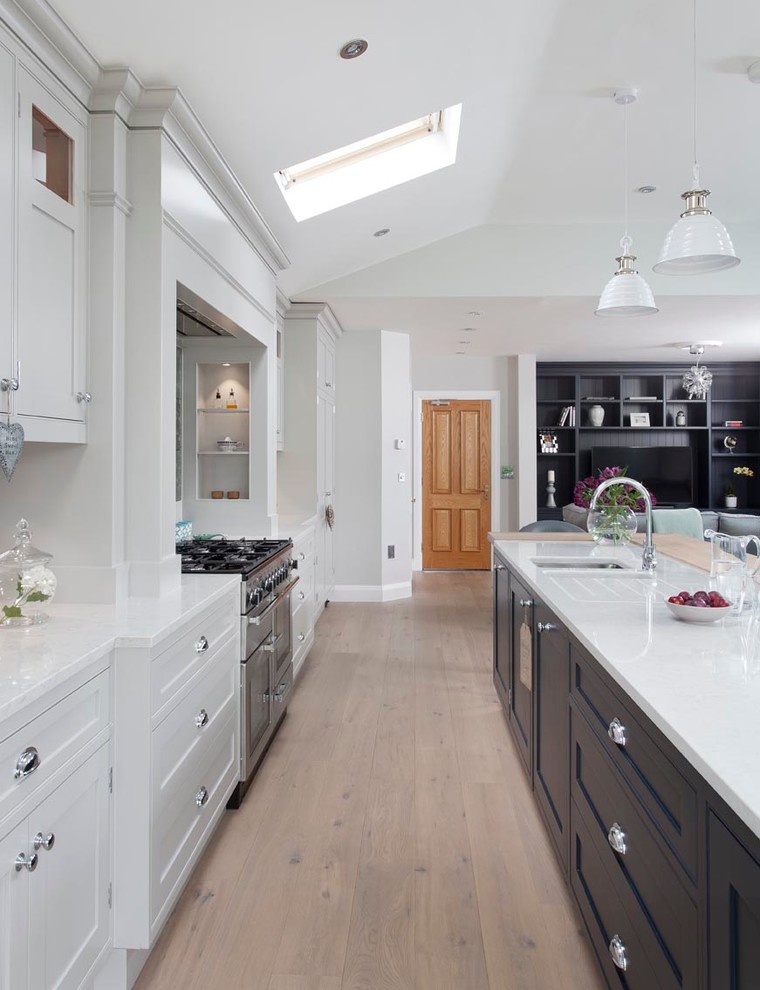 Transitional kitchen photo in Dublin