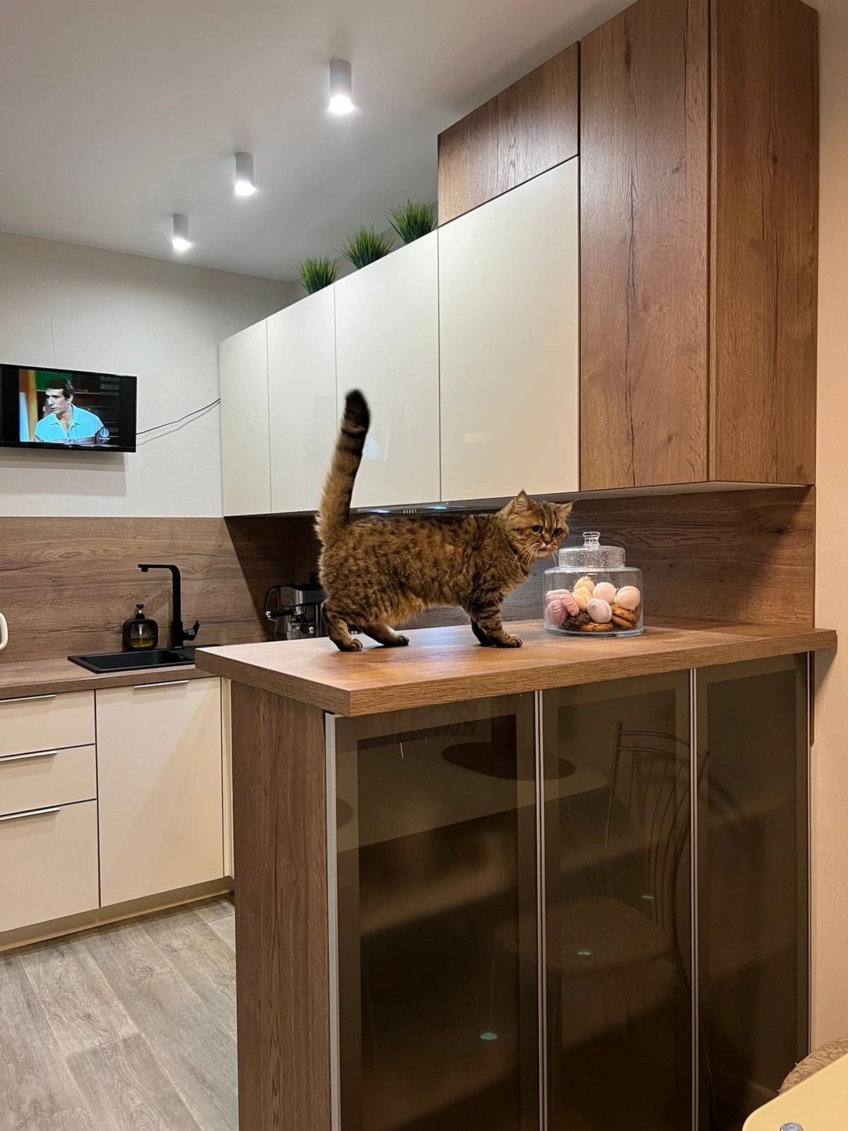 Кухня для зонирования пространства