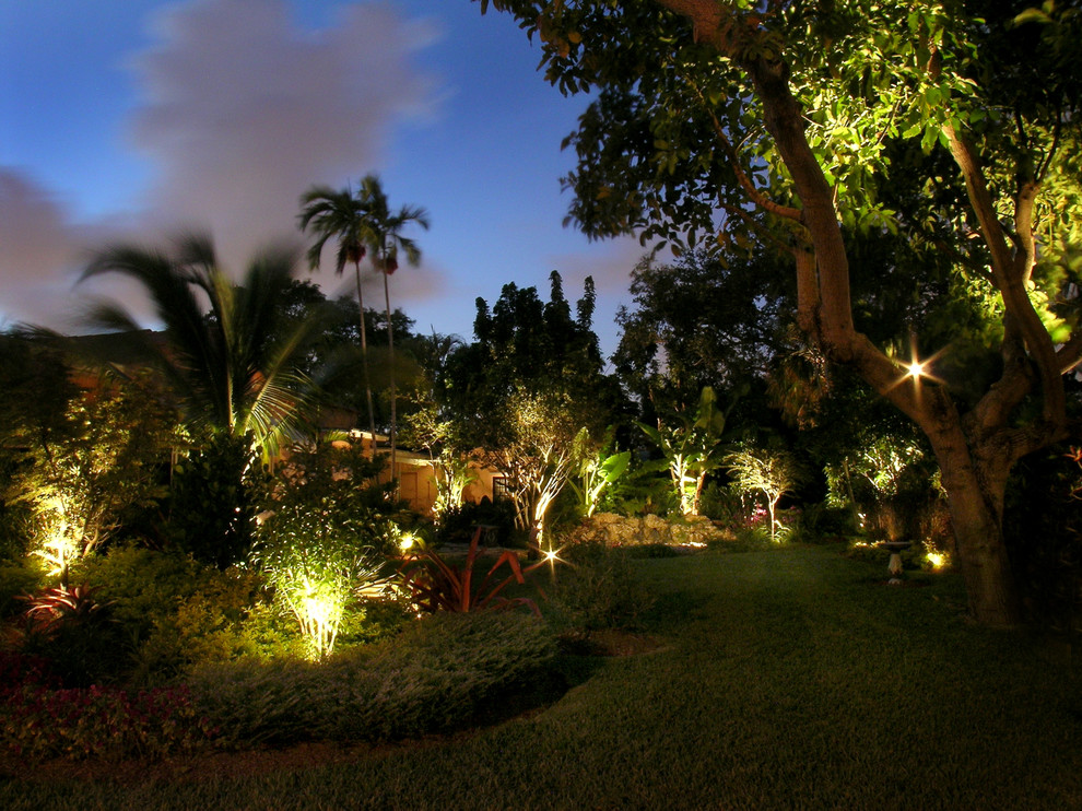 Tropical garden in Miami.