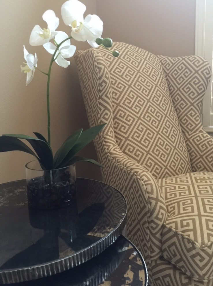 Transitional home design photo in Houston