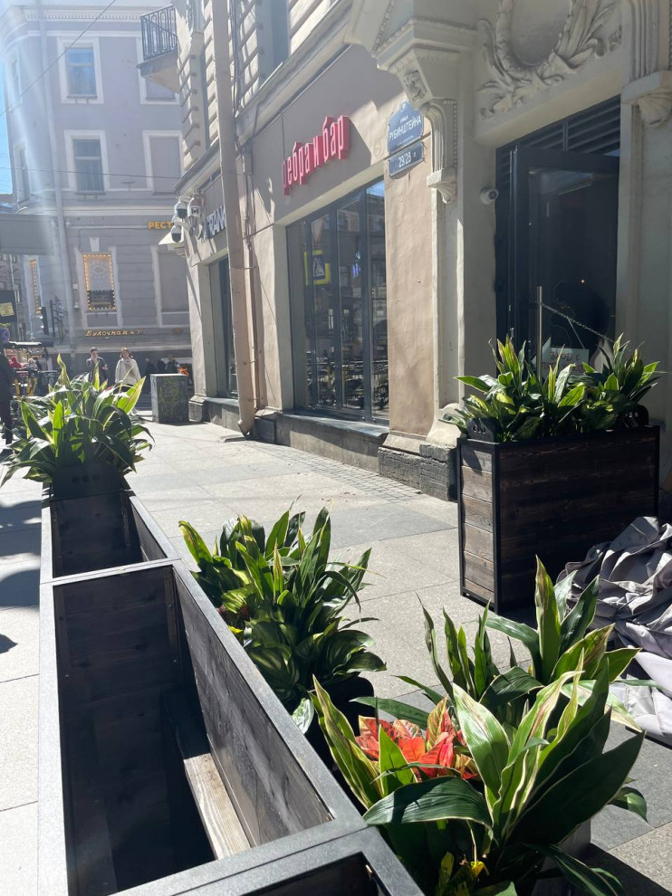 Ресторан FRANK на Рубинштейна г. Санкт-Петербург