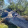 George West Tree Service LLC