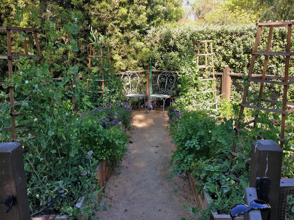 Inspiration for a mid-sized arts and crafts backyard full sun garden for spring in Los Angeles with a vegetable garden.