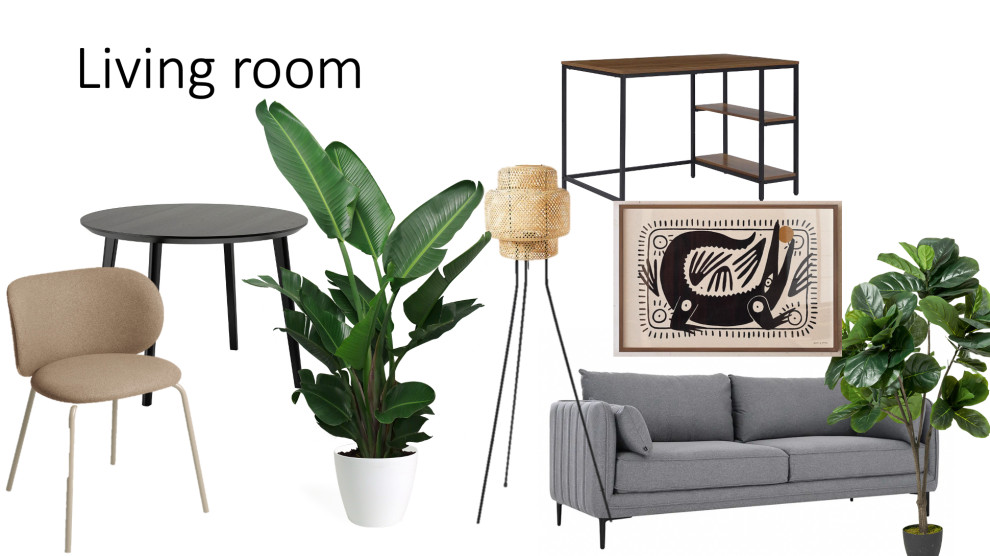 Styling Consultation for a rented 1BR