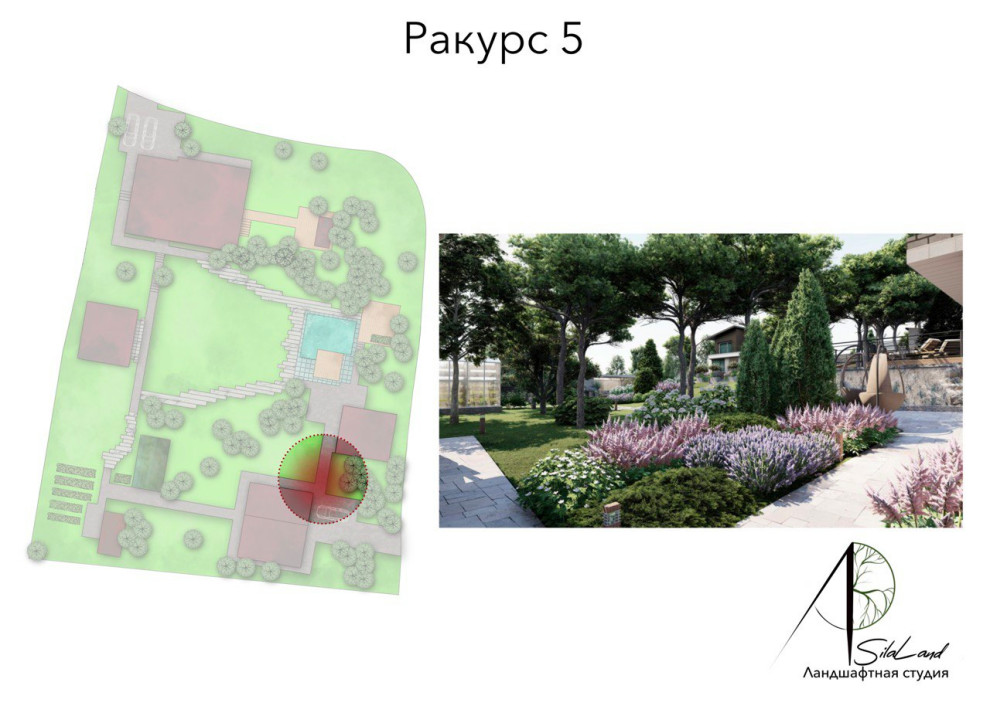 Солнце в кронах