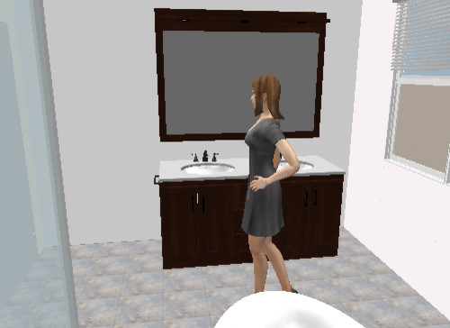 Bathroom Remodeling Project transitional-rendering