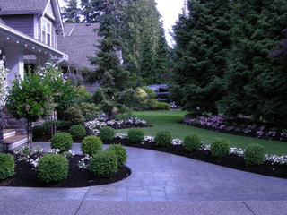 Front Yard Landscaping Make Over 1 - Traditional - Landscape