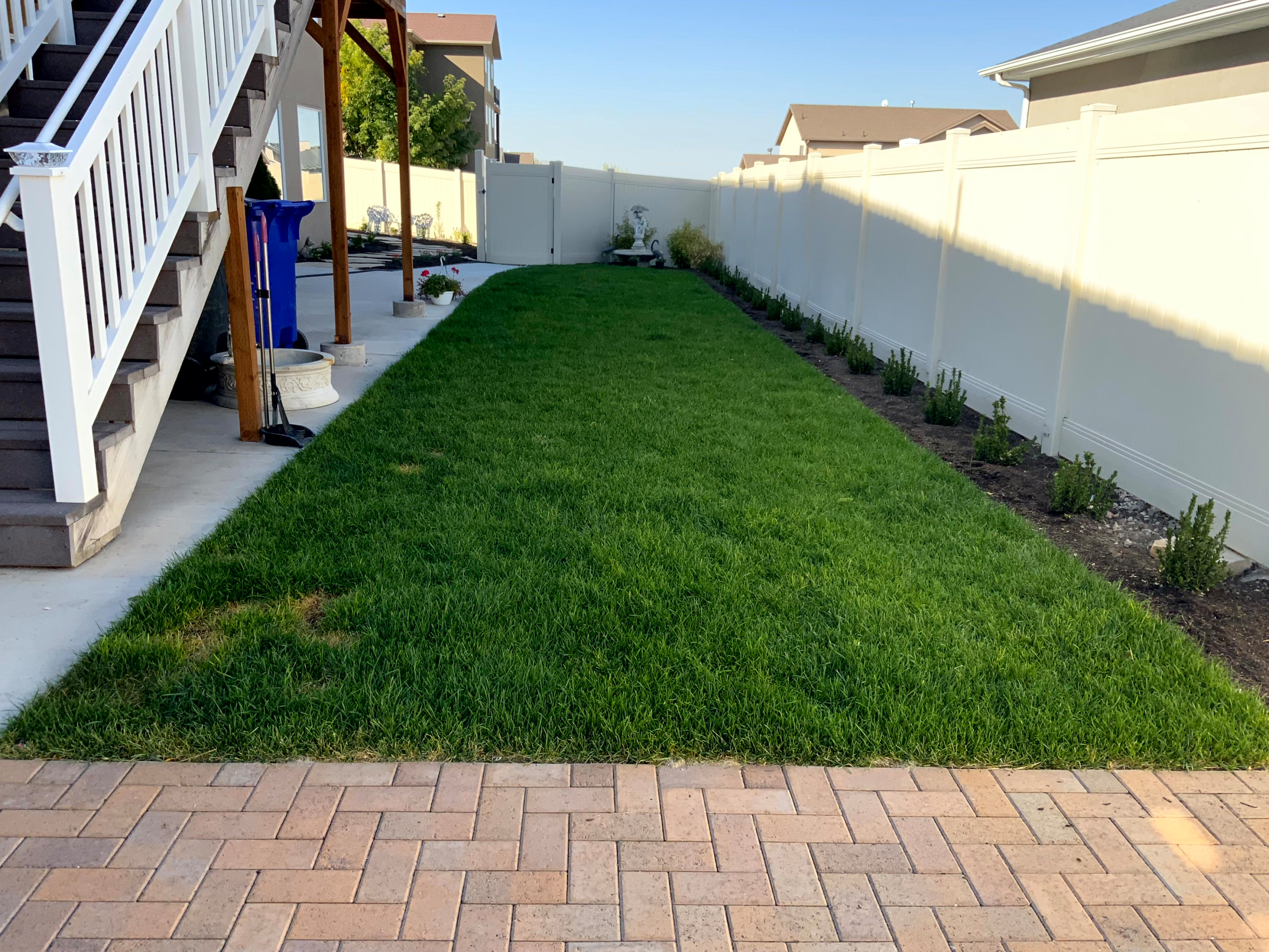 Low Maintenance English Garden